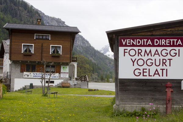 Richiamato un lotto di formaggio Nostrano Formazza per presenza presuntiva di Escherichia coli Stec