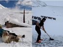 Le foto postate dal rifugio Maria Luisa Le foto postate dal rifugio Maria Luisa