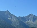 Orso in Val Grande, i carabinieri forestali: "Non si creino allarmismi, le forze dell'ordine sono presenti sul territorio"