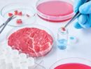 Carne artificiale, Coldiretti: "L'opposizione alla legge va contro la scienza e la salute dei cittadini" Carne artificiale, Coldiretti: "L'opposizione alla legge va contro la scienza e la salute dei cittadini"