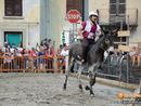 A Premosello un concorso di pittura dedicato all'asino