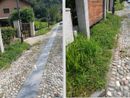 ''Erba alta a Vogogna in piena stagione turistica''