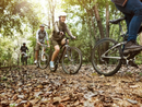 In bici alla scoperta di gelsi e filugelli