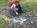 Rifiuti lungo il Toce, volontari in azione per ripulire la zona nei pressi di Domo 2