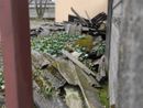 Materiale abbandonato al Villaggio Sisma, Uniti per Villa: "Potrebbe esserci amianto, si trovi una soluzione" Materiale abbandonato al Villaggio Sisma, Uniti per Villa: "Potrebbe esserci amianto, si trovi una soluzione"