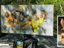 Camminare verso Prasca 'accompagnati' da numerose composizioni artistiche