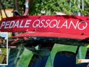 Ciclismo, Soldarini sesto alla Coppa d'Oro