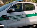 Polizia provinciale, cresciute nel 2024 le attività per il controllo dei cinghiali