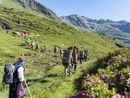 Studi archeologici all'Alpe Cravariola: partecipazione aperta alla cittadinanza
