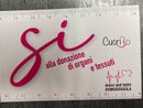 Quarantaquattro prelievi di organi negli ultimi 2 anni nel Vco