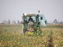 Dalla regione 9 milioni di euro per lo sviluppo delle aziende agricole