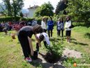 Un albero per ricordare Pierantonio Ragozza FOTO