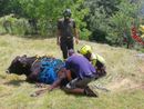 Calasca Castiglione, intervento dei vigili del fuoco per il recupero di un animale ferito Calasca Castiglione, intervento dei vigili del fuoco per il recupero di un animale ferito