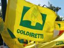 Mattarella firma il decreto agricoltura, un sostegno concreto alle imprese