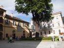 Questa sera le musiche del Nord in piazza Rovereto