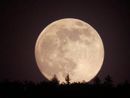 Il cielo di ottobre regala la Superluna Il cielo di ottobre regala la Superluna