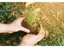 Settimana ecologica a Montecrestese con i bimbi della scuola primaria