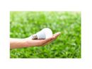 Ecolamp, nel 2024 due tonnellate di lampadine esauste raccolte nel Vco