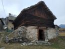 Aspettando LetterAltura, un'escursione all'Alpe Fraccia alla scoperta del patrimonio botanico