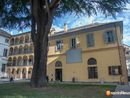 Domodossola al centro dei dialoghi italo-svizzeri: all’Expo si gettano le fondamenta per il futuro transfrontaliero Domodossola al centro dei dialoghi italo-svizzeri: all’Expo si gettano le fondamenta per il futuro transfrontaliero