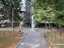 Villadossola, saranno abbattuti cinque alberi pericolanti nel Parco delle Rimembranze