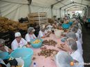 La Sagra della Patata festeggia i 30 anni con un'anteprima il 26 luglio