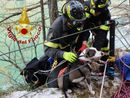 Acchiappalevrieri: “Abbiamo salvato noi il cane caduto nel lago in Valle Antrona”
