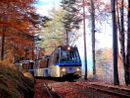 Il Treno del Foliage è pronto a ripartire alla scoperta delle bellezze della natura