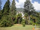 Castagnata a Preglia nel parco di Villa Renzi