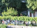 Appuntamento musicale a Villette con &quot;Note al Femminile&quot;
