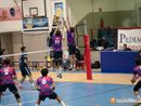 Volley: sconfitta al tie-break per la Pediacoop H24 Domo a Vercelli Volley: sconfitta al tie-break per la Pediacoop H24 Domo a Vercelli