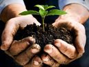 Confagricoltura Piemonte: "Infortuni sul lavoro in calo. L'agricoltura in prima linea nella difesa dei suoi lavoratori”