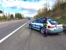 Sicurezza stradale, campagna europea "Focus on the road": in Piemonte e Valle d'Aosta 1.334 infrazioni accertate Sicurezza stradale, campagna europea "Focus on the road": in Piemonte e Valle d'Aosta 1.334 infrazioni accertate