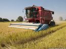 Marco Protopapa (Lega): “Difendere l’agricoltura italiana dalle derive ideologiche della nuova Pac europea”