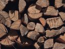 Il settore del legno resiste alla crisi e punta a un 2025 positivo