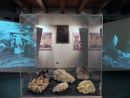Ripartono le attività didattiche dei musei di Baveno e Mergozzo