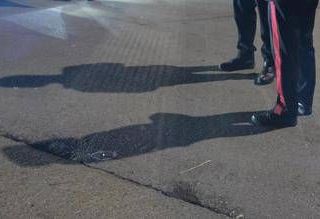 Omicidio a Palermo, il testimone: "Paolo stava lavorando e ha visto il branco. Poi l'inferno"