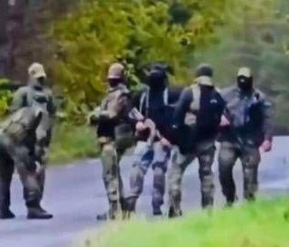 Estonia, allarme per 'omini verdi': provocazione della Russia?