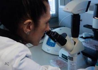 Malattie rare, scoperta nuova patologia genetica nei bimbi