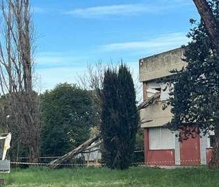 Paura a Roma, cade albero e sfonda finestra del liceo Orazio