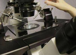 Fecondazione, la salute del padre ha un ruolo anche prima del concepimento