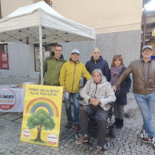 Alberi per la Giornata Nazionale: il M5S Vco dona nuove piante a Verbania, Omegna e Domodossola