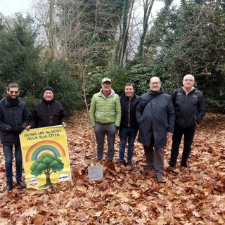 Giornata nazionale degli alberi: messa a dimora la prima pianta donata dal M5S