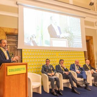 Rapporto Maciste, il mercato illecito del tabacco si sposta online e cambia volto