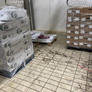In un salumificio industriale del Vco scoperti 9000 chili di carne mal conservata e scaduta da 5 anni i
