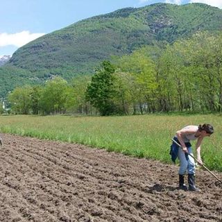 Indennità compensativa, Coldiretti: “Importante l’apertura del bando ma occorre integrare risorse per coprire tutte le domande”