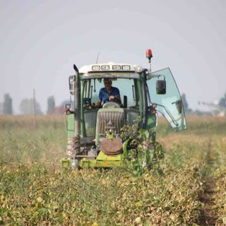 Coronavirus, contagi sul lavoro: agricoltori i meno colpiti