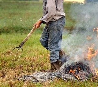 La richiesta di Confagricoltura Piemonte: “Rinviare il divieto di abbruciamento”