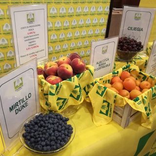 Coldiretti: “L’emergenza Covid ha fatto emergere consapevolezza sul valore strategico del cibo”