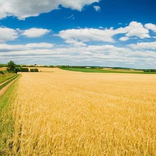 Coldiretti: bene l'obbligo d'indicare in etichetta la provenienza dell'alimento principale
